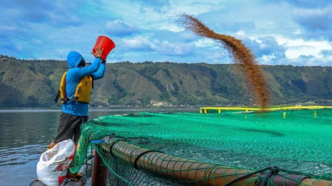 Expansão dos negócios, este fabricante de rações para peixes e aquários está pronto para ser listado no IDX