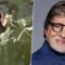 Amitabh Bachchan se lembra de filmar ‘Humko Tumse Ho Gaya Hai Pyar’ com um cavalo liliputiano em 1977, diz ‘O cavalo era mais esperto do que nós’